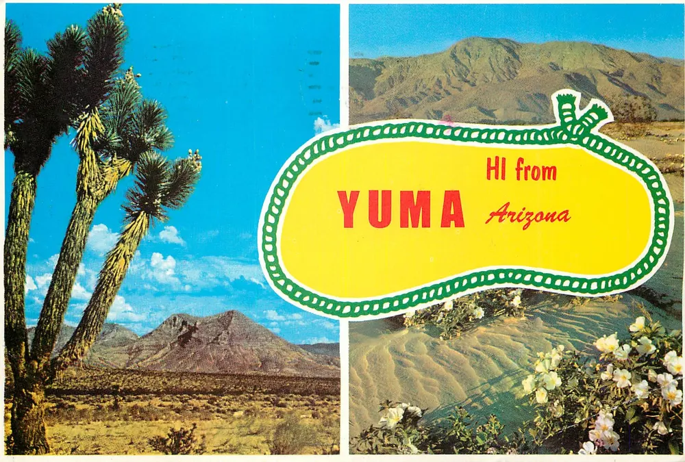 Yuma, Arizona — paisagem desértica com Joshua Tree e montanhas — Publicado por Petley Studios - Frente