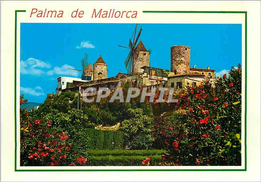 Palma de Mallorca — Molinos del Jonquet — Éditions Palma - Recto