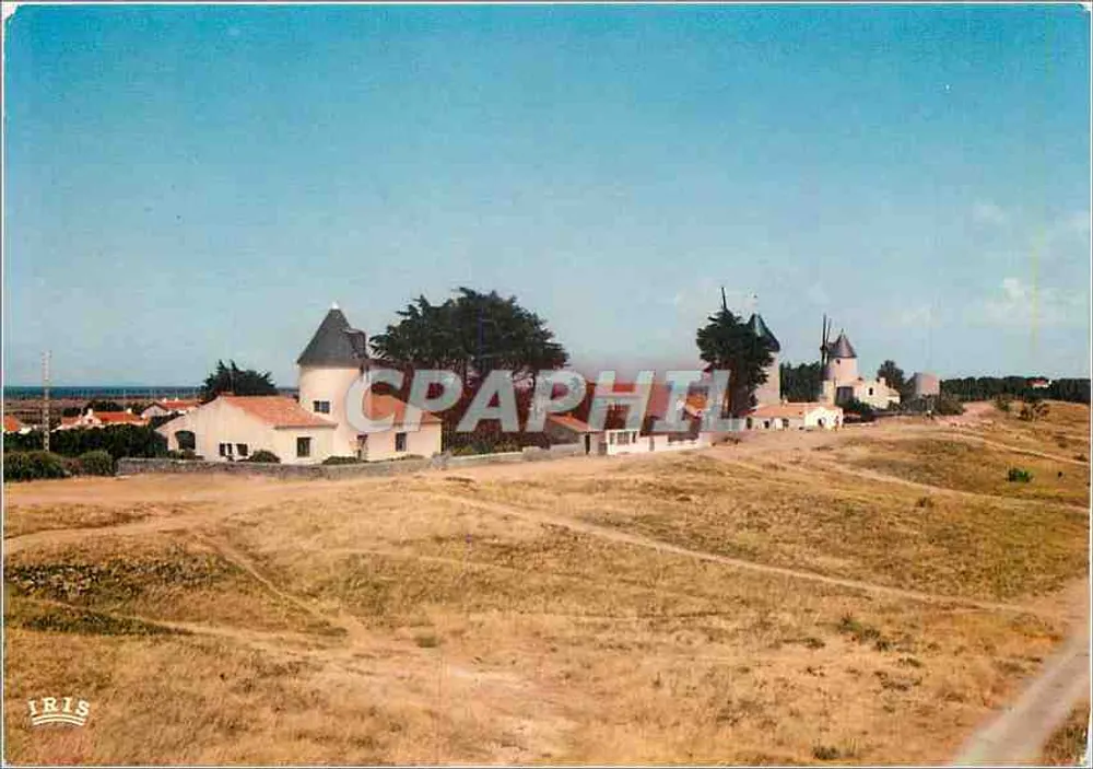 Les Moulins de la Guérinière — Île de Noirmoutier — Éditions Théolias - Recto