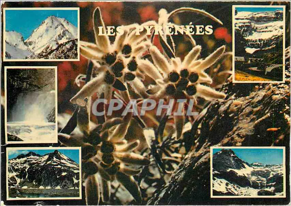 Os Pirineus — cume, cascata e flores — edições Théolac, n°65/457 - Frente