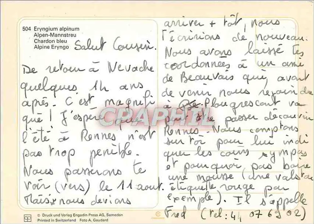 Eryngium alpinum — Erva-de-ouro azul — Druck und Verlag Engadin Press AG, Samedan - Verso