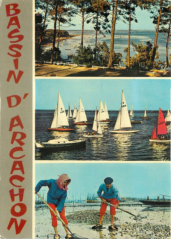 Bassin d'Arcachon — vue du port, régates et ramassage d'huîtres — Éditeur Elcie, série N 283 - Recto