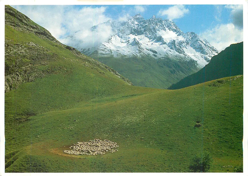 Paisagem alpina com rebanho — Vale de Ossau, Pirineus — Gypaète, referência 187 - Frente