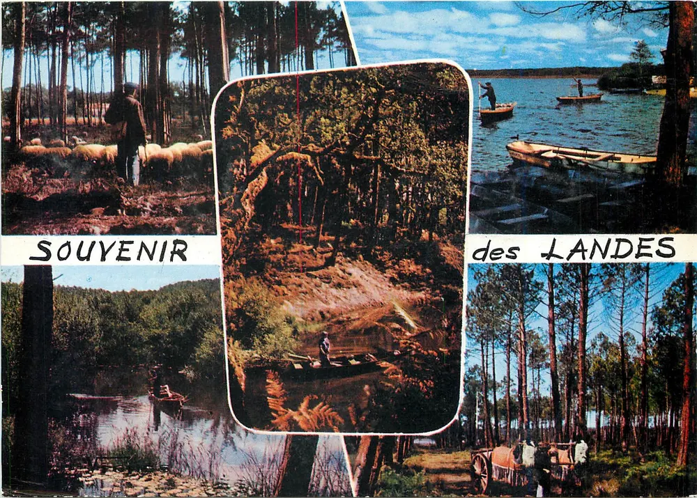 Erinnerung an die Landes — Das Gesicht der Landes — Éditions d'Art Vignes - Vorderseite