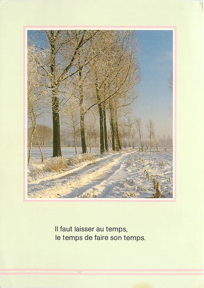 Winterlandschaft — schneebedeckte Bäume — Beauséjour, Belgien - Vorderseite
