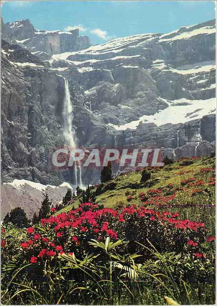 Gavarnie — Ansicht von Rhododendren und Cirque-Wasserfall — Editions P. Chambon, Lourdes - Vorderseite