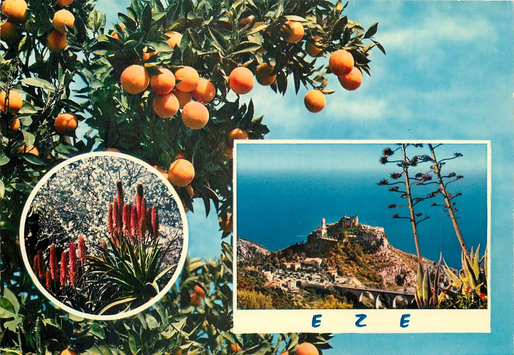 Eze — Vista panorâmica e pomares de laranjeiras — Edições Elnacap - Frente