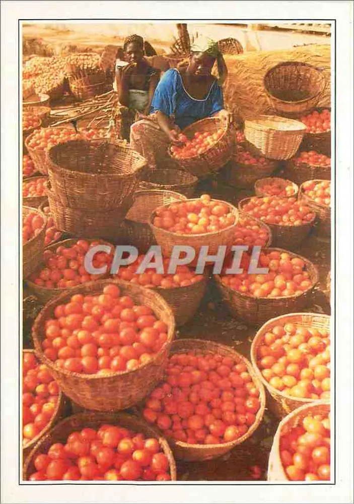 Bobo-Dioulasso — Tomatenmarkt — XXXV-D1 - Vorderseite