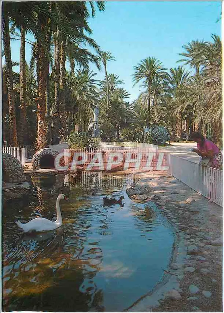 Parque Municipal d'Elche — Alicante — Edições Arribas - Frente