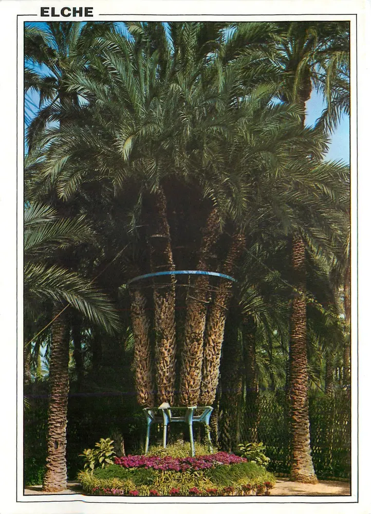 Elche — Huerto del Cura, Palmera Imperial — Edições Arribas - Frente