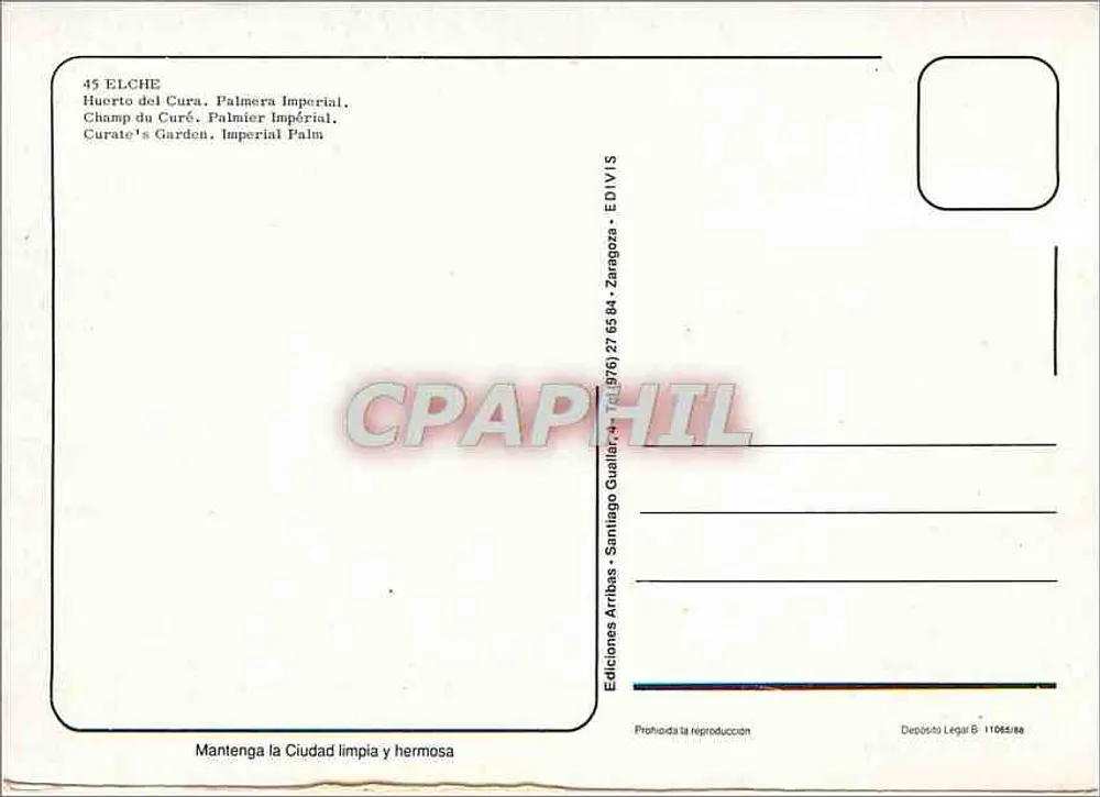 Elche — Huerto del Cura, Palmera Imperial — Edições Arribas - Verso