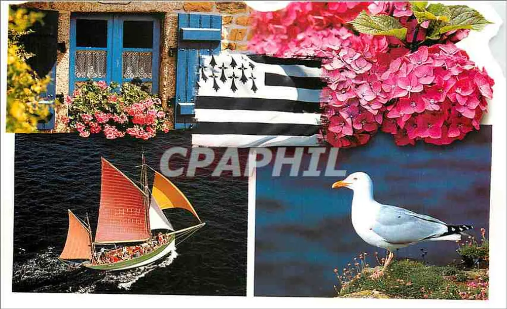 Vista da Bretanha — bandeira bretona, flores, barco e gaivota — Éditions YCA Quimper - Frente