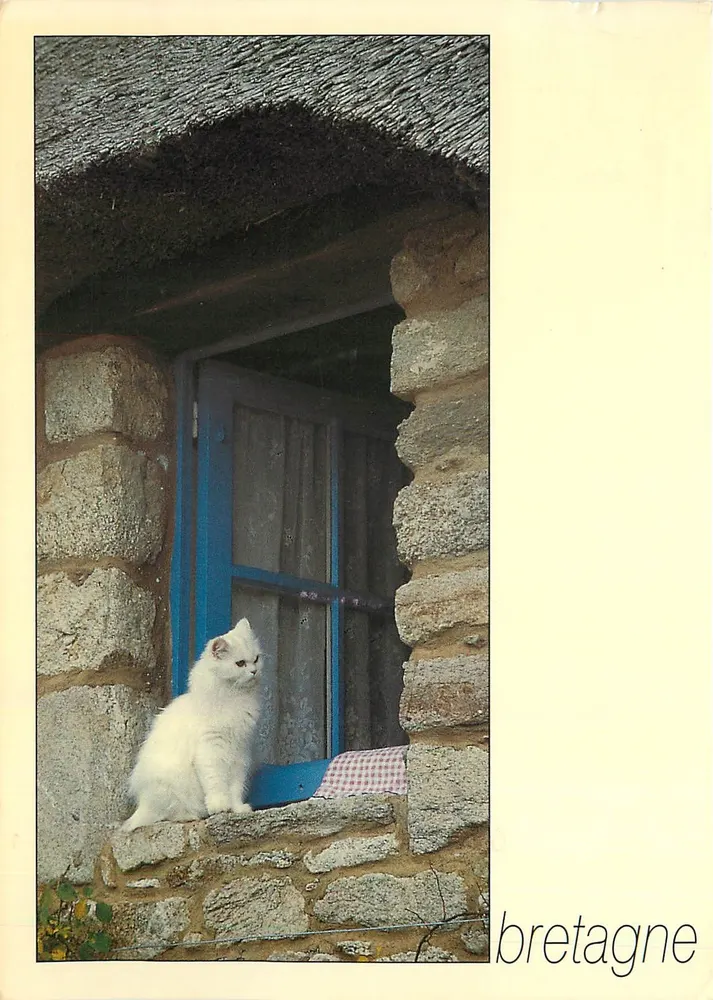 Gato branco na janela — Bretagne — Éditions d'Armanet - Frente