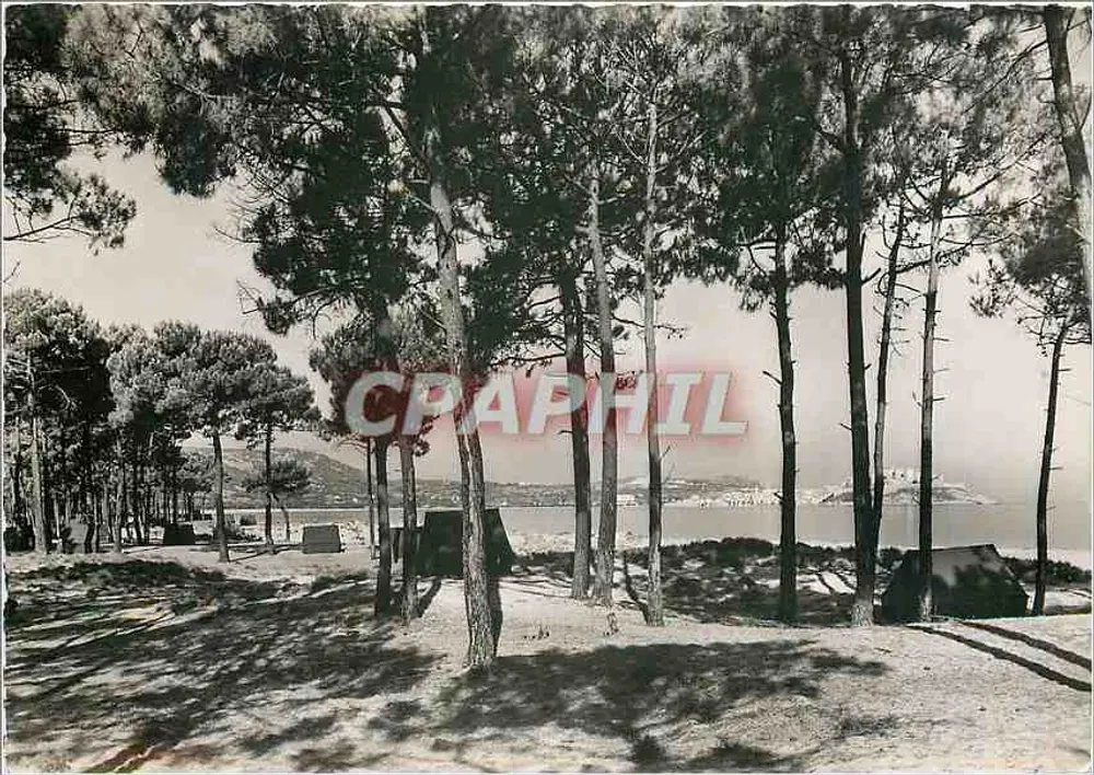 Calvi - Ansicht der Côte d'Azur — Editions M.C. Miramonti, Nr. 413 - Vorderseite
