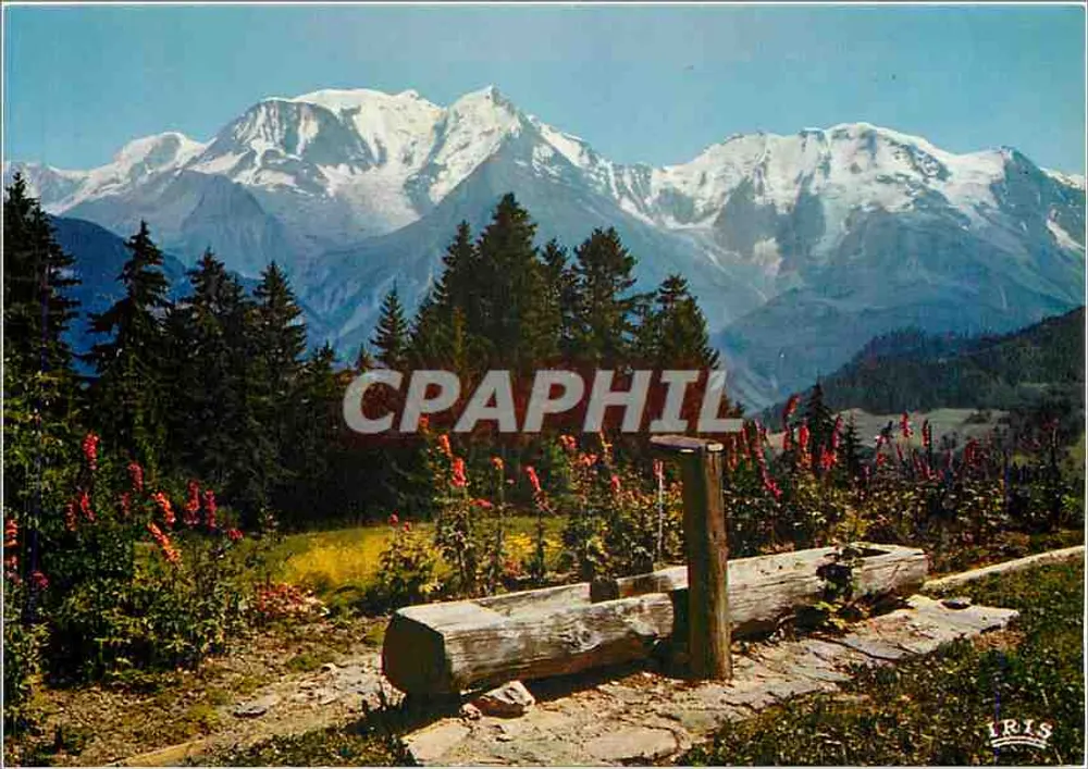 Panorama sobre o maciço do Mont-Blanc — editor IRIS, série PP 2952 - Frente