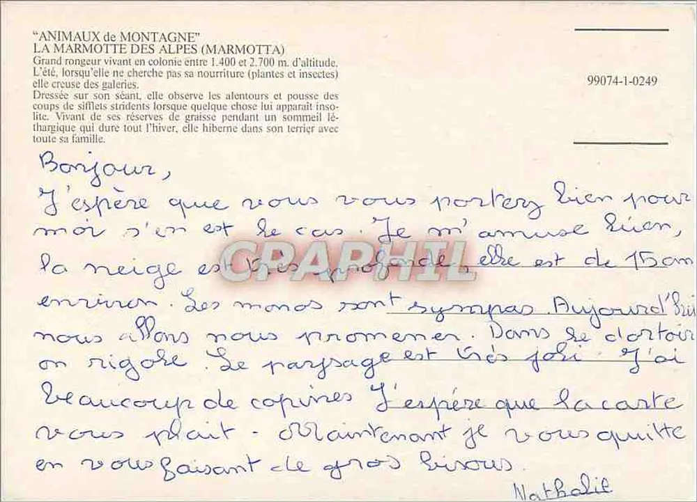 Im Land der Marmotten — Alpenberge — unbekannter Verleger, Seriennummer 99074-1-0249 - Rückseite