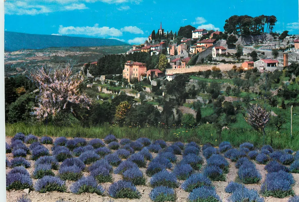 Provence — Altes Dorf und Lavendelfeld — Editions S.E.P.T. - 198/3 - Vorderseite