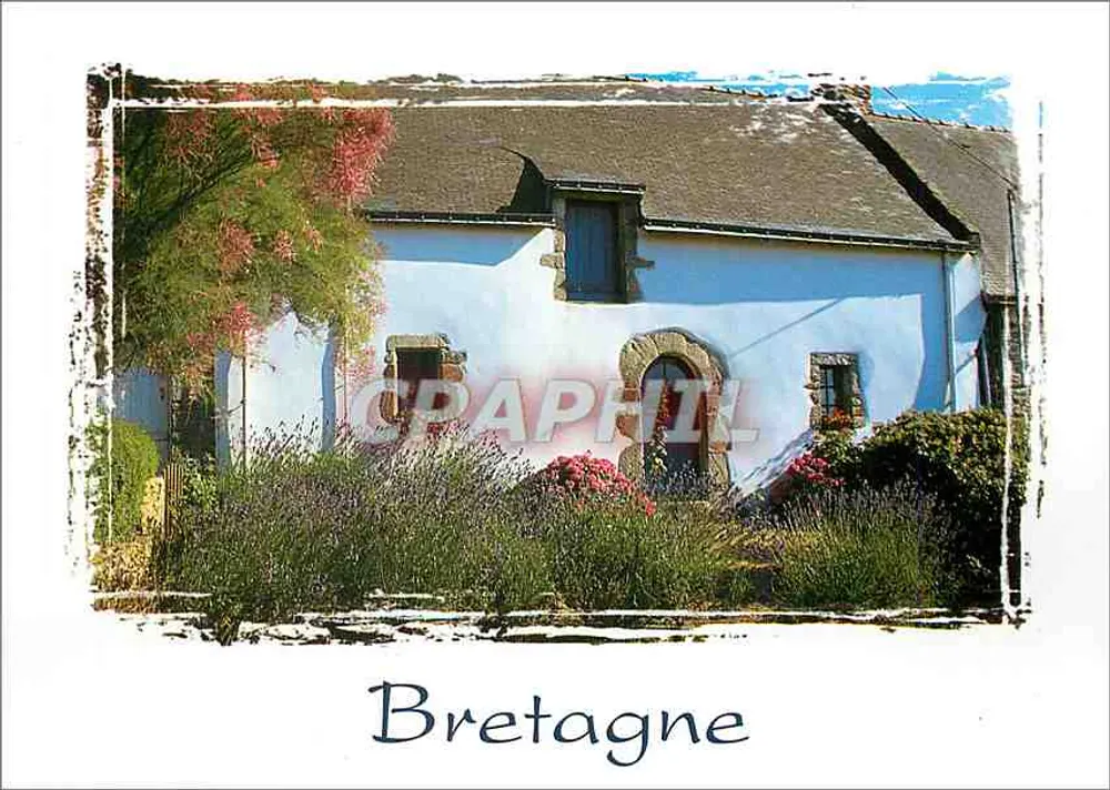 Paisagem bretona — casa branca com lavanda — Éditions Claude Faston, n°902-045 - Frente