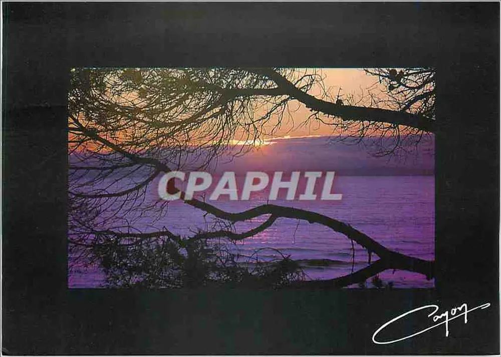 O mar roxo — 303 — Criação IMAGO 16, Philippe Gayon - Frente
