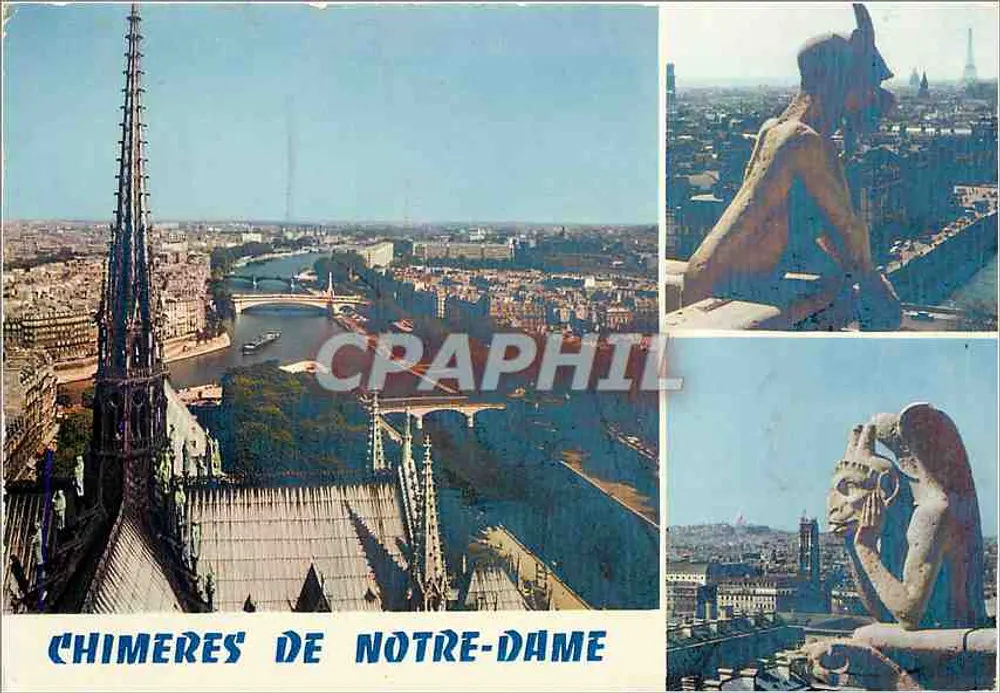 Chimères de Notre-Dame — vista panorâmica e detalhes das gargalhadas — Edições Mexichrome - Frente