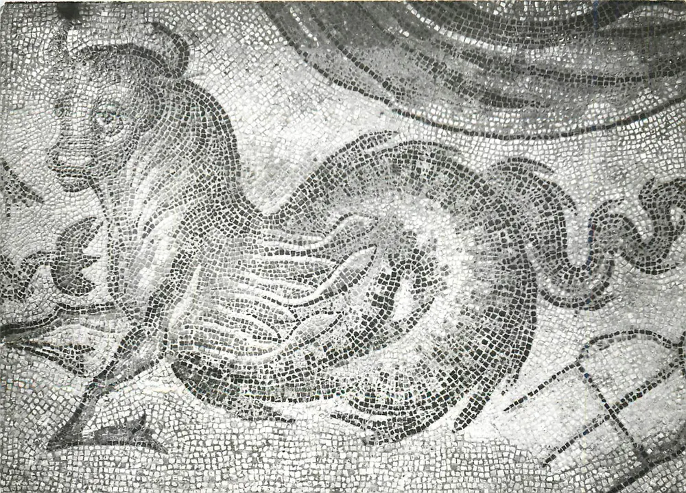 Autun - Museu Rolin — Dragão (mosaico romano) — Auguste Allemand, 149 - Frente