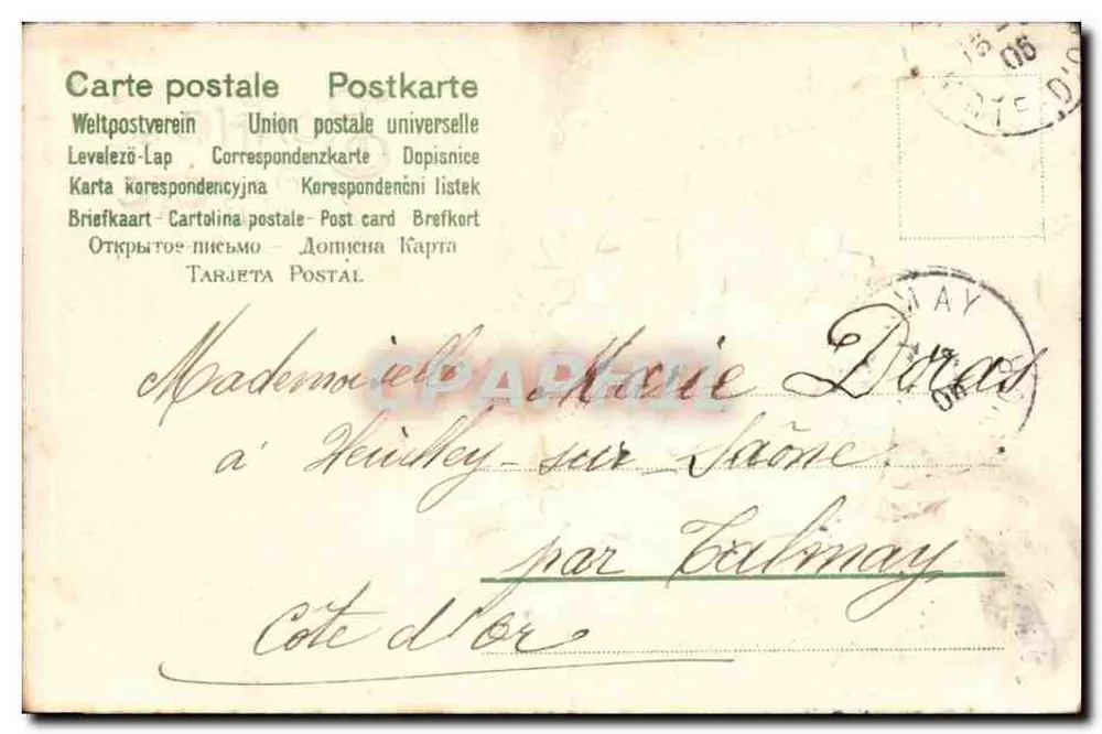 Violette in einem Korb — Frohe Geburtstagskarte — Verlag nicht sichtbar - Rückseite