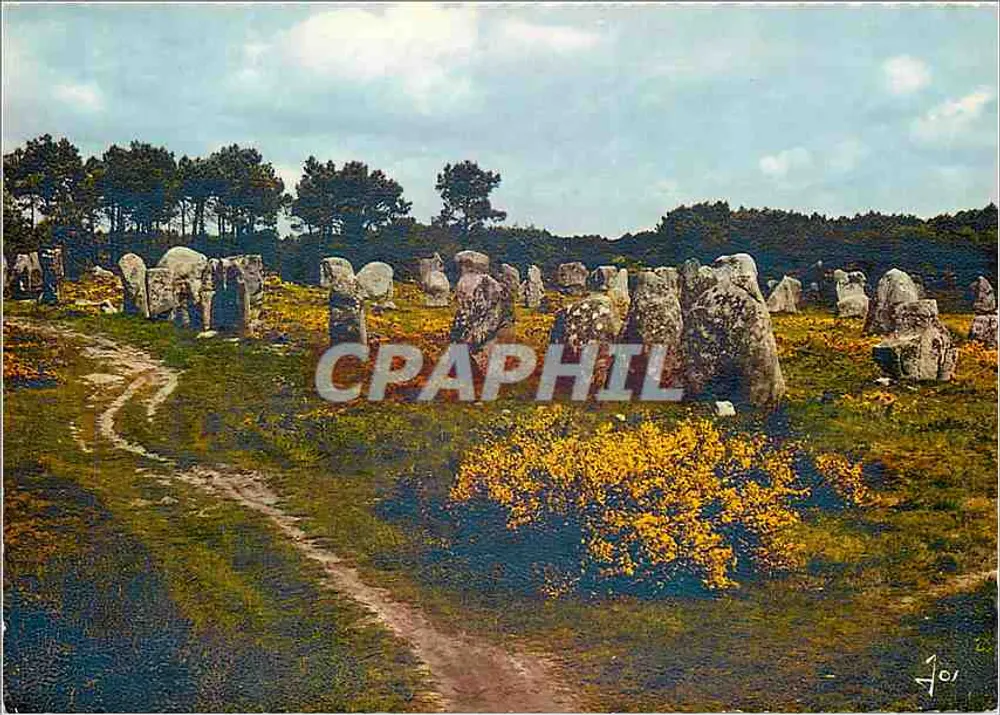 Les Alignements de Carnac — no meio das samambaias — Éditions d'Art Jos, Châteaulin (29) - Frente