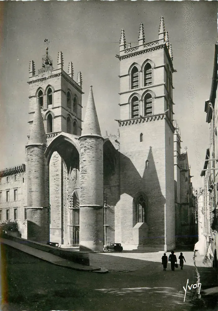 Montpellier (Hérault) — La Cathédrale Saint-Pierre — Éditions d'Art Martel, n°1173 - Frente