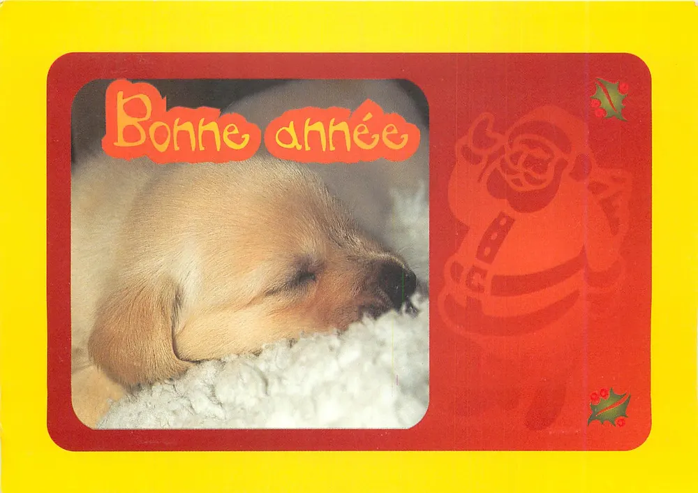 Sleeping Guide Dog — Happy New Year — Les Chiens Guides d'Aveugles de l'Ouest - Front