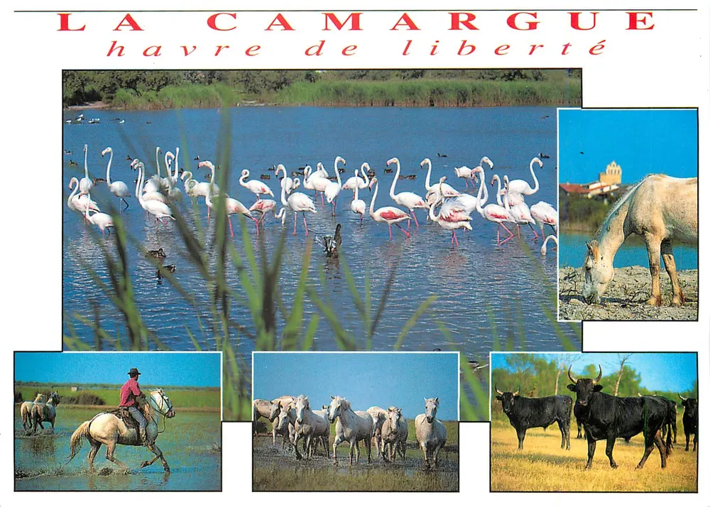 La Camargue — porto de liberdade — Sté PEC - Septèmes les Vallons - Frente