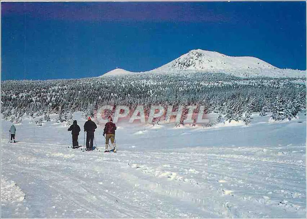 मेजेंस में लंबी बर्फी चलती — प्रकाशक पिग्नोल डेनिस, 43750 वाल्स-प्रेस-ले-पू - आगे