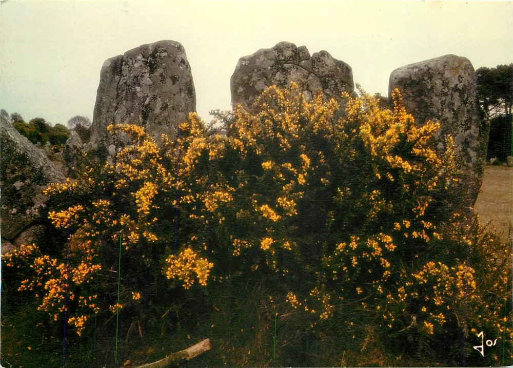 Alignements de Kerlescan — 3 menhirs colados na muralha ocidental — Edições d'Art JOS, Chitteaulin - Frente