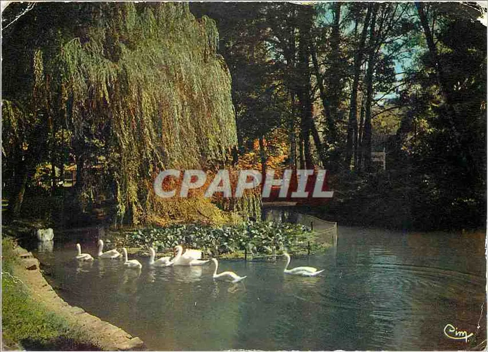 Vittelet (Vosges) — Lago dos Cisnes — Cim - Frente