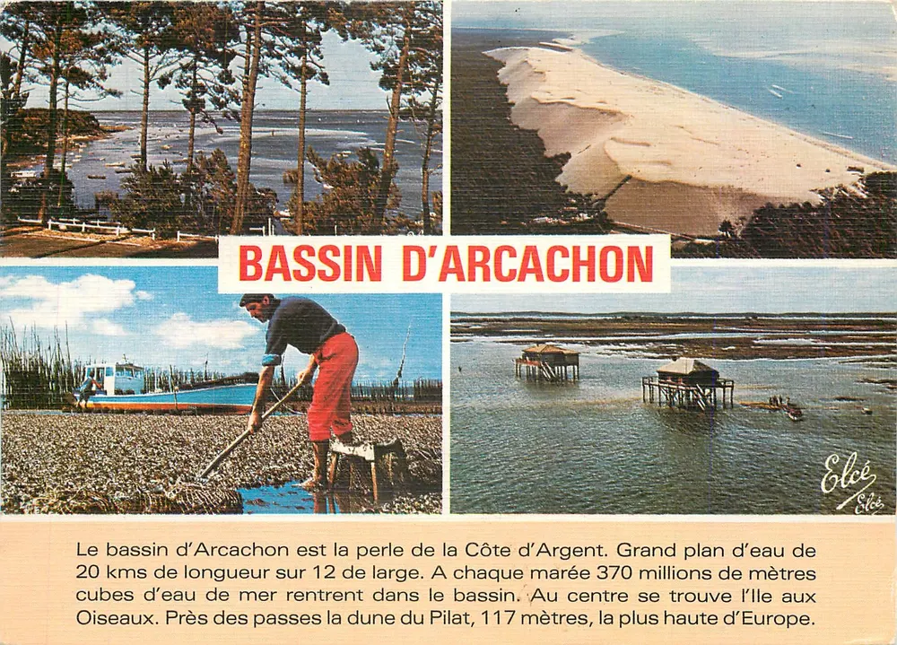Bassin d'Arcachon — vista panorâmica e atividades — Editora Elcée, n° 7411 - Frente