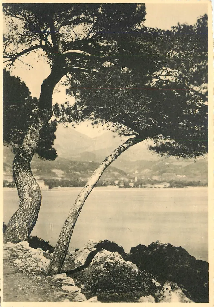 Pin da Costa Azul — vista panorâmica — F. Baruzzi, n° 0150 - Frente