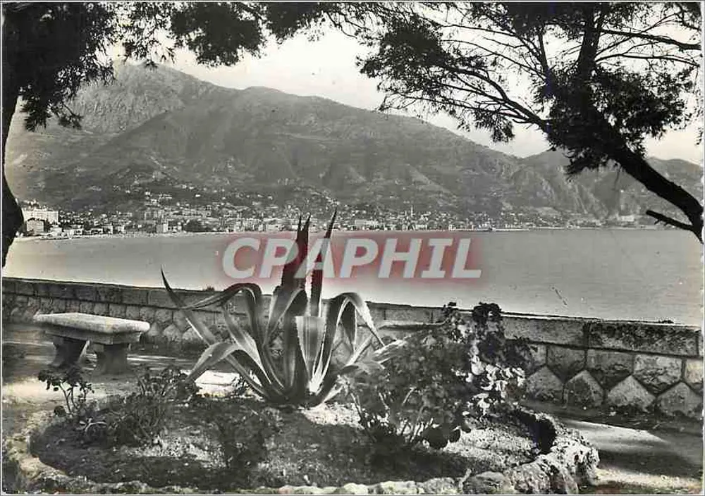 Menton (Alpes-Maritimes) — allgemeiner Blick auf den Cap Martin — Verlag MENTON, Nr. 63-588 - Vorderseite