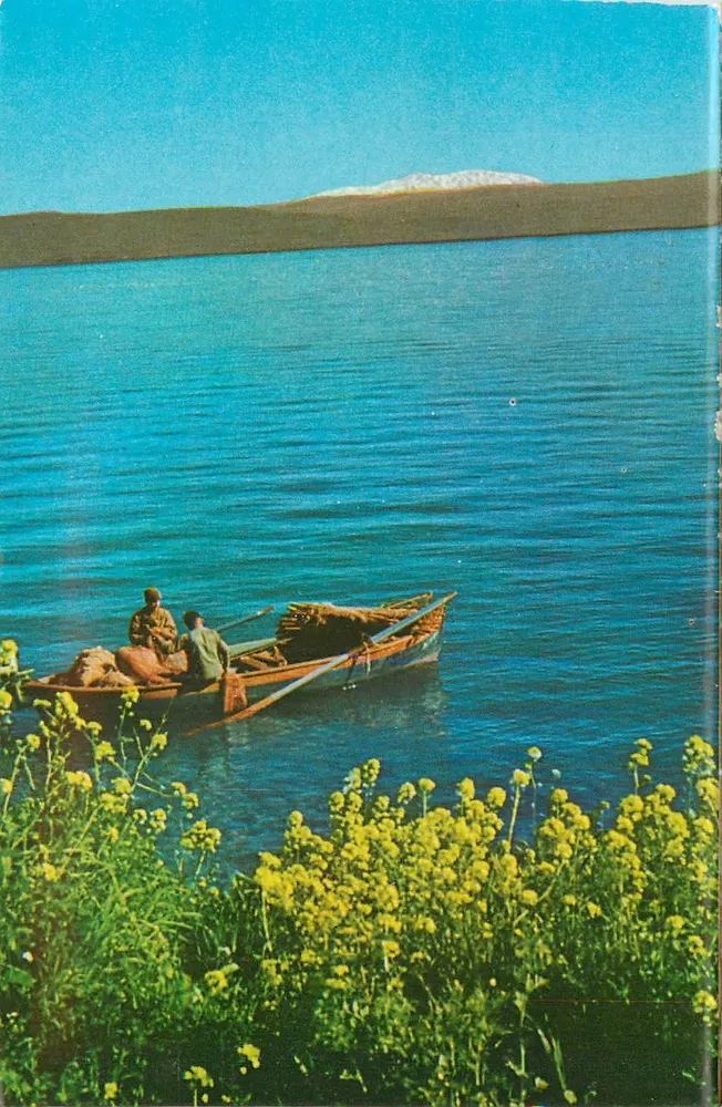 See von Galiläa — Aussicht auf den Berg Hermon — Palphot, Nr. 5624 - Vorderseite