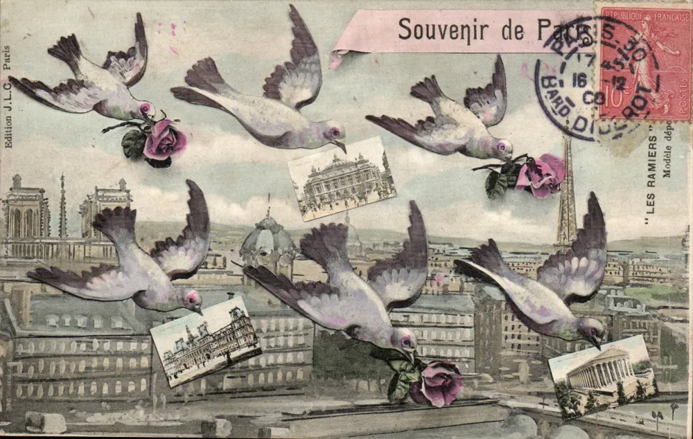 Taube, die Rosen und Karten tragen — Erinnerung an Paris — Edition J.L.C. Paris - Vorderseite