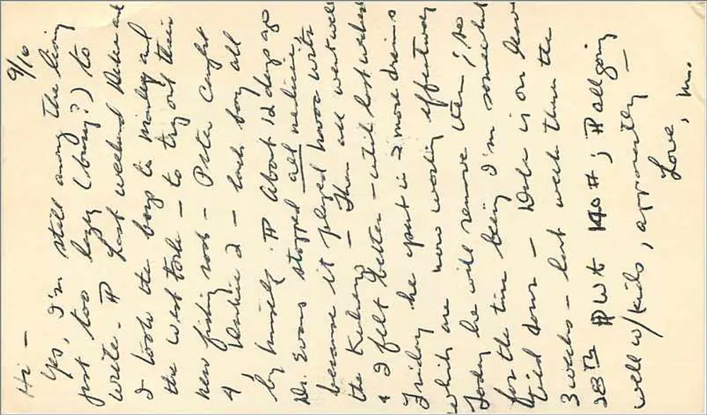 Frank Lloyd Wright — 50. Jahrestag des Erwerbs der Jungferninseln — U.S. Luftpost 6c - Rückseite