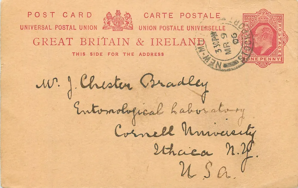 Whitele, New Mills by Stockport — cartão postal da Grã-Bretanha & Irlanda — editor Universal Postal Union - Frente