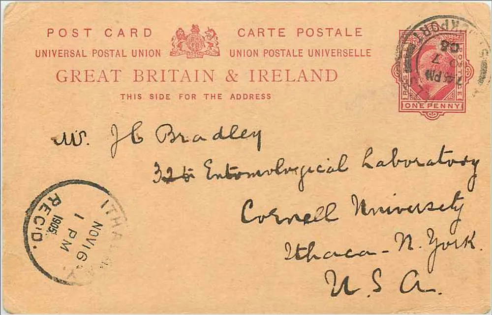 White's New Mills bei Stockport — Großbritannien & Irland — Universal Postal Union - Vorderseite