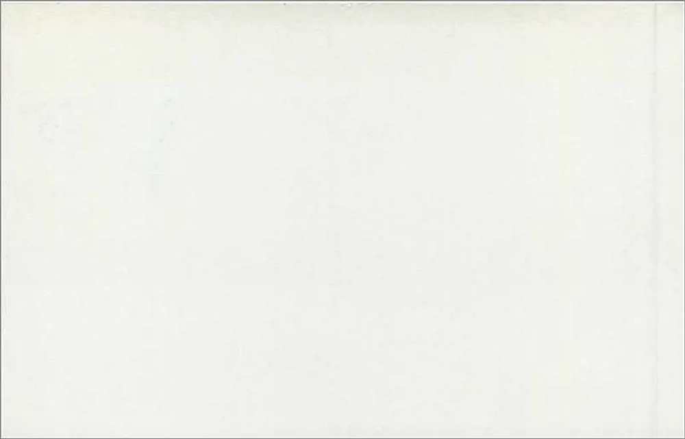 Britische Karteikarte — rosa 2½ Pence-Stempel — Verlag nicht sichtbar - Rückseite