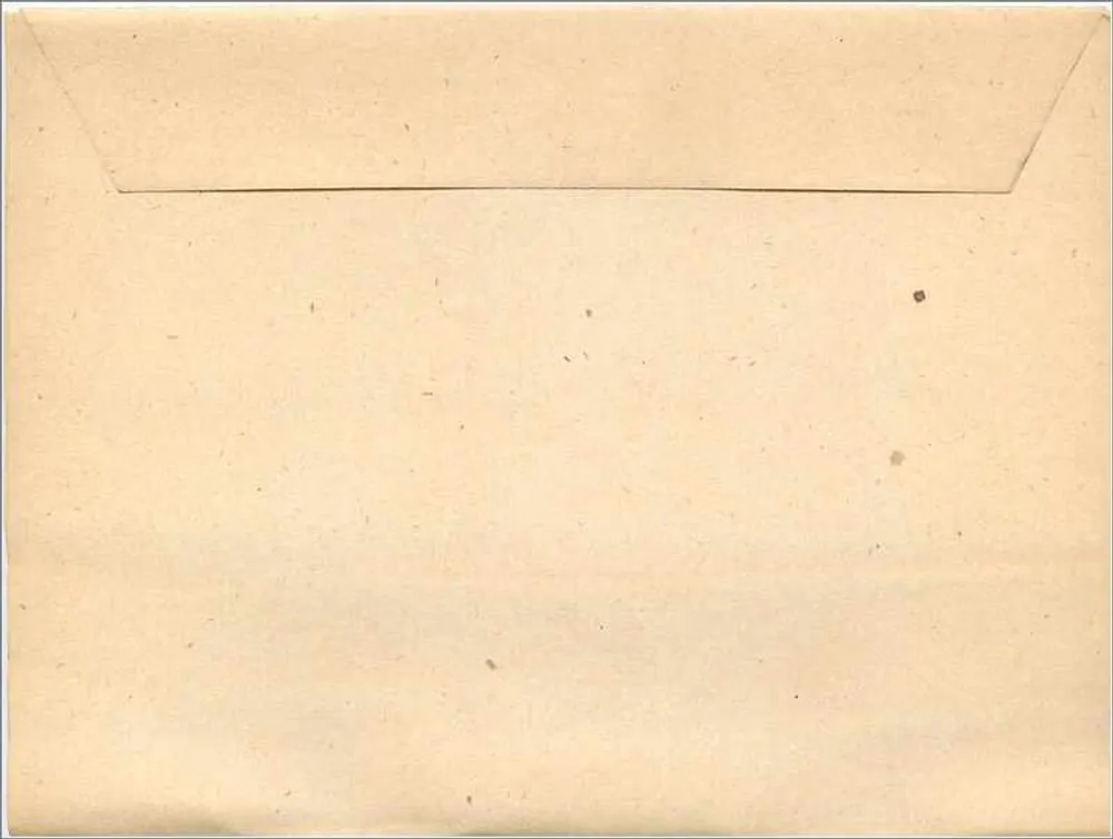 Briefkarte-Umschlag — Gebrauchsvorschriften — Halbpfennig-Stempel - Rückseite