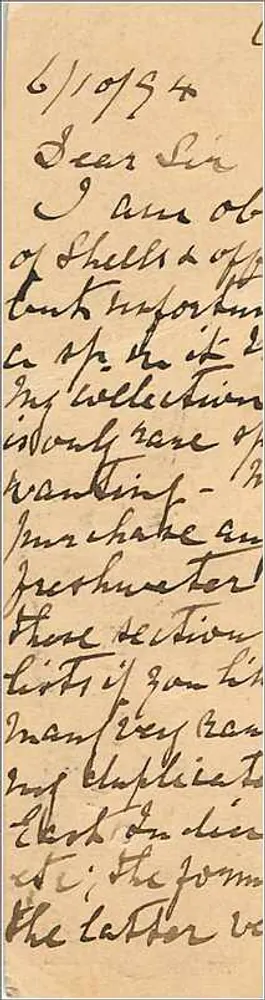 Ansichtskarte Union Postale Universelle — Großbritannien und Irland — Twickenham - Rückseite