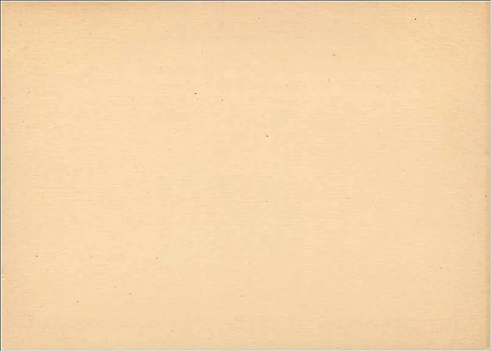 Ausländische Karteikarte — Universal Postal Union — 1 Penny Farthing - Rückseite