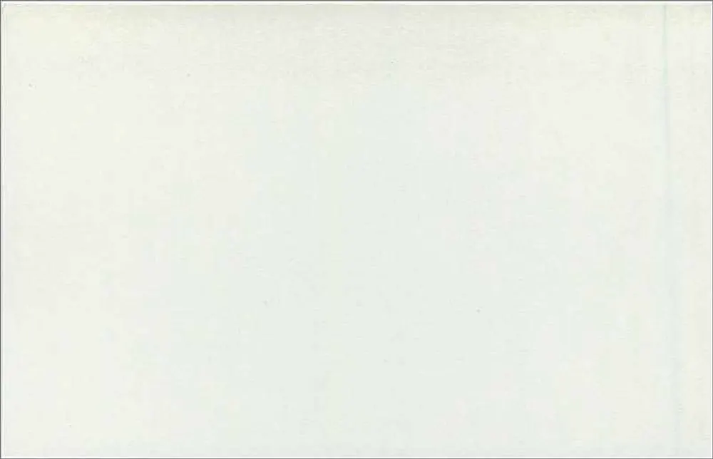Britische Ansichtskarte — rosa 2£-Stempel — Verleger nicht sichtbar - Rückseite