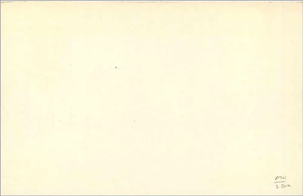 Britische Ansichtskarte — 2½d Stempel — Verlag nicht sichtbar - Rückseite