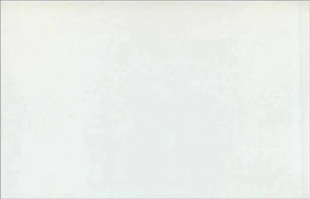 Leere Ansichtskarte — 3d-violetter Stempel der Königin Elizabeth II — Verlag nicht sichtbar - Rückseite