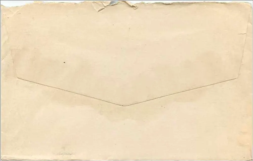 Ansichtskarte an Miss Clara B. Cowell in Shaca, N.Y. — 2 Cent Washington-Stempel — N.Y. Poststempel 7 Uhr morgens / 7 Uhr abends - Rückseite
