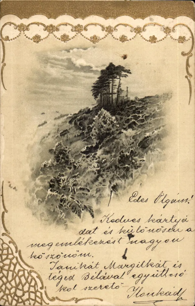 Bergansicht — Landschaft mit einsamem Kiefern — Verlag nicht sichtbar - Vorderseite
